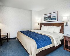 Comfort Inn Bellingham