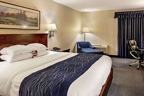 Comfort Inn Bellingham