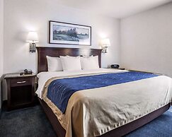 Comfort Inn Bellingham