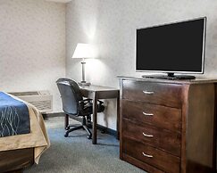 Comfort Inn Bellingham