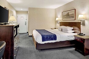 Comfort Inn Bellingham