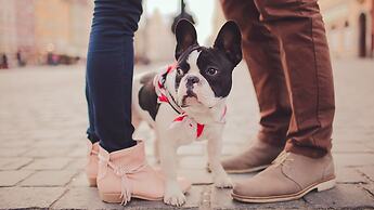 Hotel Indigo Atlanta - Vinings by IHG