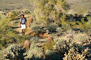 Hilton Phoenix Tapatio Cliffs Resort