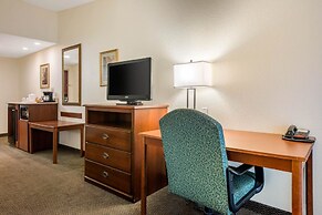 Quality Inn & Suites Tarpon Springs South