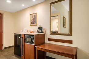 Quality Inn & Suites Tarpon Springs South