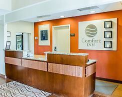 Comfort Inn Fayetteville near Fort Bragg