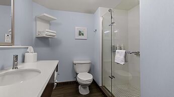 Hampton Inn Bloomington