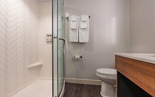 Holiday Inn New Orleans - Downtown Superdome by IHG