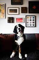 Loews Nashville Hotel at Vanderbilt Plaza