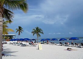 Amsterdam's Curry Mansion Inn