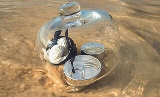 Royal Palm Beachcomber Luxury