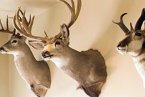 The Lakefront Anchorage