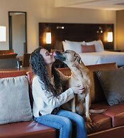 The Lakefront Anchorage