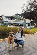 The Lakefront Anchorage