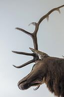 The Lakefront Anchorage