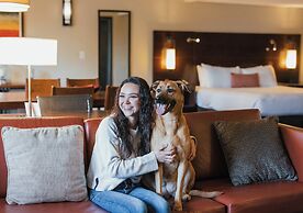 The Lakefront Anchorage