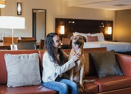 The Lakefront Anchorage