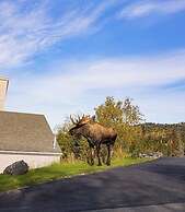 The Lakefront Anchorage