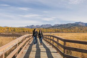 The Lakefront Anchorage