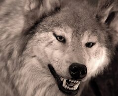 The Lakefront Anchorage