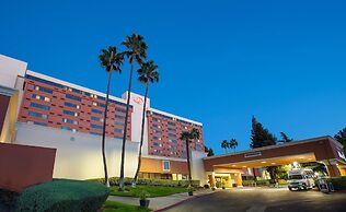 Hilton Concord