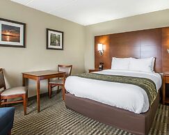 Comfort Inn Hammond I-94