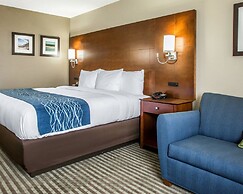 Comfort Inn Hammond I-94