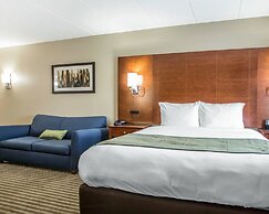 Comfort Inn Hammond I-94