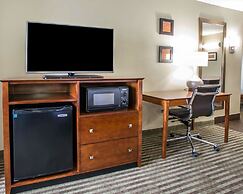 Comfort Inn Hammond I-94
