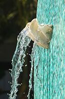 Colony Hotel & Cabaña Club