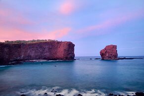 Four Seasons Resort Lanai