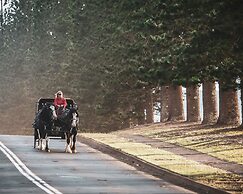 Four Seasons Resort Lanai