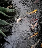 Four Seasons Resort Lanai