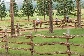 Four Seasons Resort Lanai
