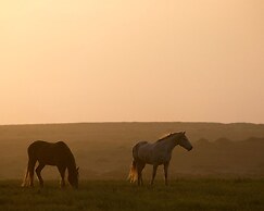 Four Seasons Resort Lanai