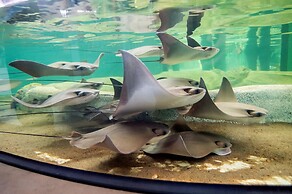 Crowne Plaza St. Louis Airport by IHG