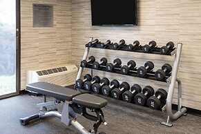 Courtyard by Marriott Chicago Wood Dale