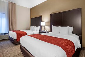 Comfort Inn Baltimore East Towson