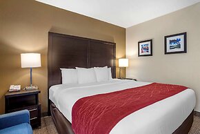 Comfort Inn Baltimore East Towson