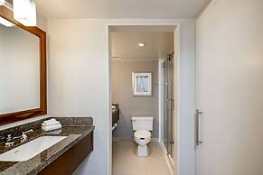 Sonesta Charlotte Lower South End