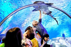 Crowne Plaza Suites MSP Airport - Mall of America by IHG