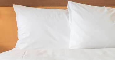 Holiday Inn Charleston Riverview by IHG