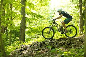 Holiday Inn Binghamton Downtown by IHG