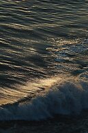 Surf & Sand Laguna Beach