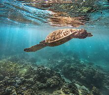 The Ritz-Carlton Maui, Kapalua