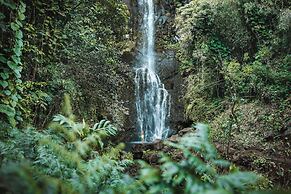 The Ritz-Carlton Maui, Kapalua