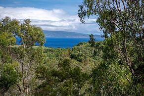 The Ritz-Carlton Maui, Kapalua