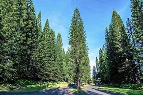 The Ritz-Carlton Maui, Kapalua