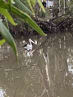 Country Pathfinder Motor Inn