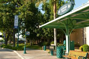 Best Western Plus Raffles Inn & Suites